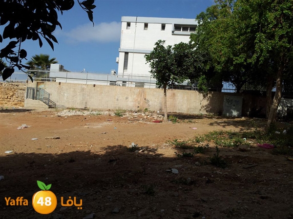 okhouwaqa3sport410 (4).jpg